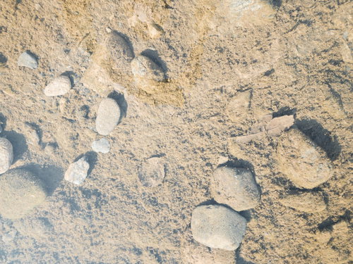 汚れ気味の水の底のテクスチャー