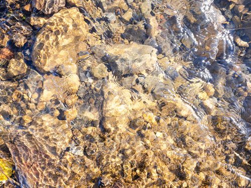 水底が透ける清流の水面と石のテクスチャー