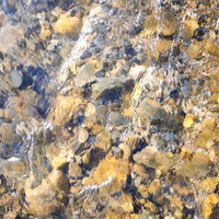 小川を流れる水面に映る川底の石や岩のテクスチャーの写真
