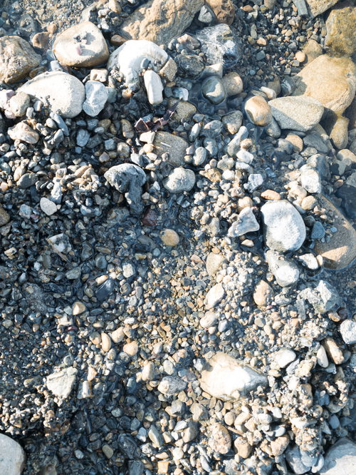 大きめの石を退かした跡の凹みと砂利のテクスチャー