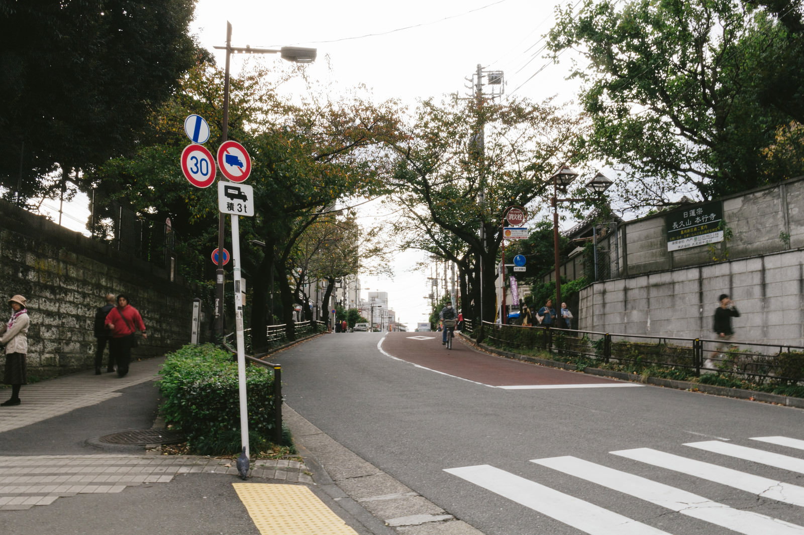 日暮里・御殿坂の坂道と街路樹、横断歩道