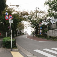 日暮里の御殿坂を行き交う人々と街並み、下町の風景の写真
