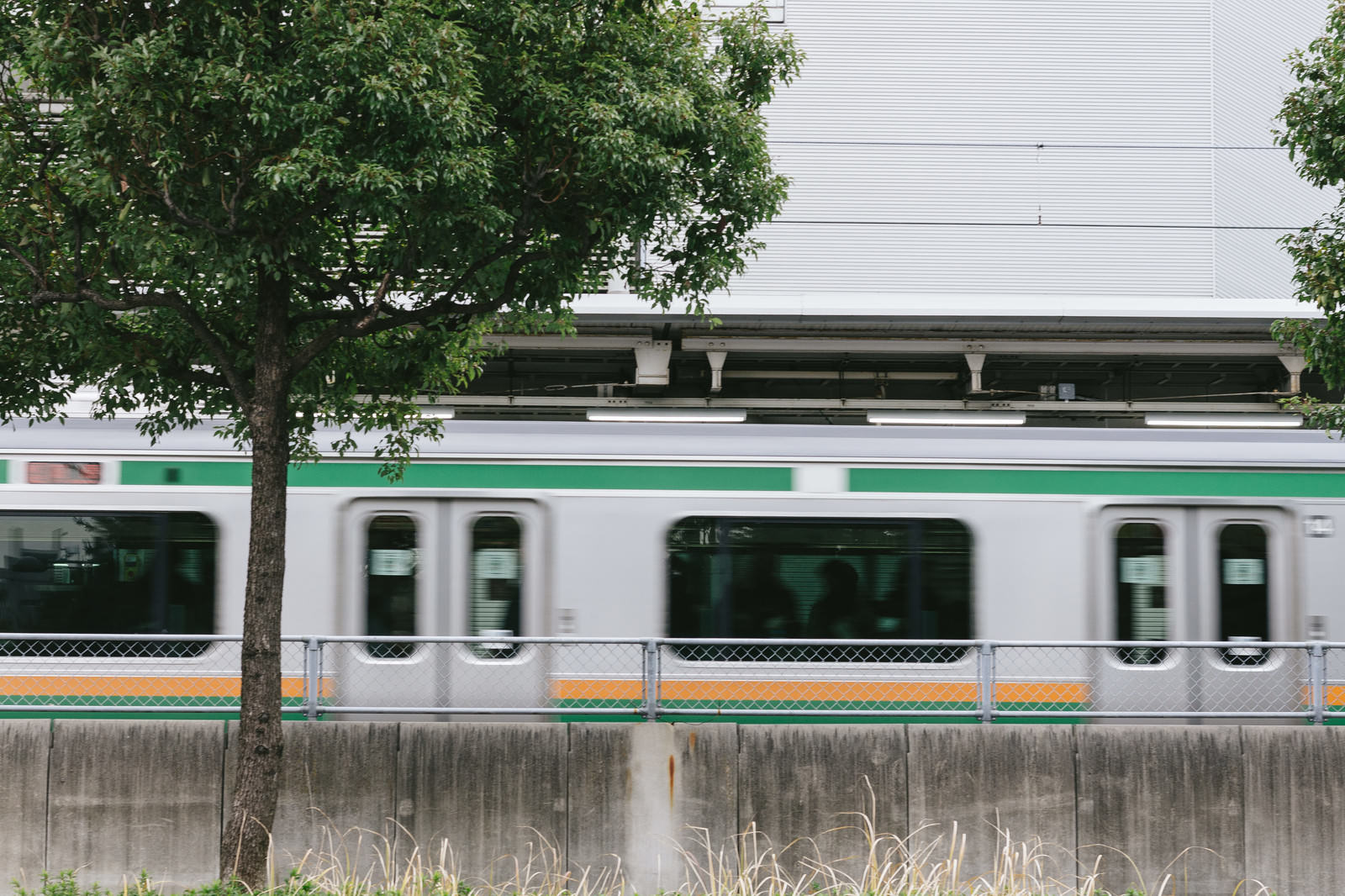 大崎駅を通過する白と緑の電車