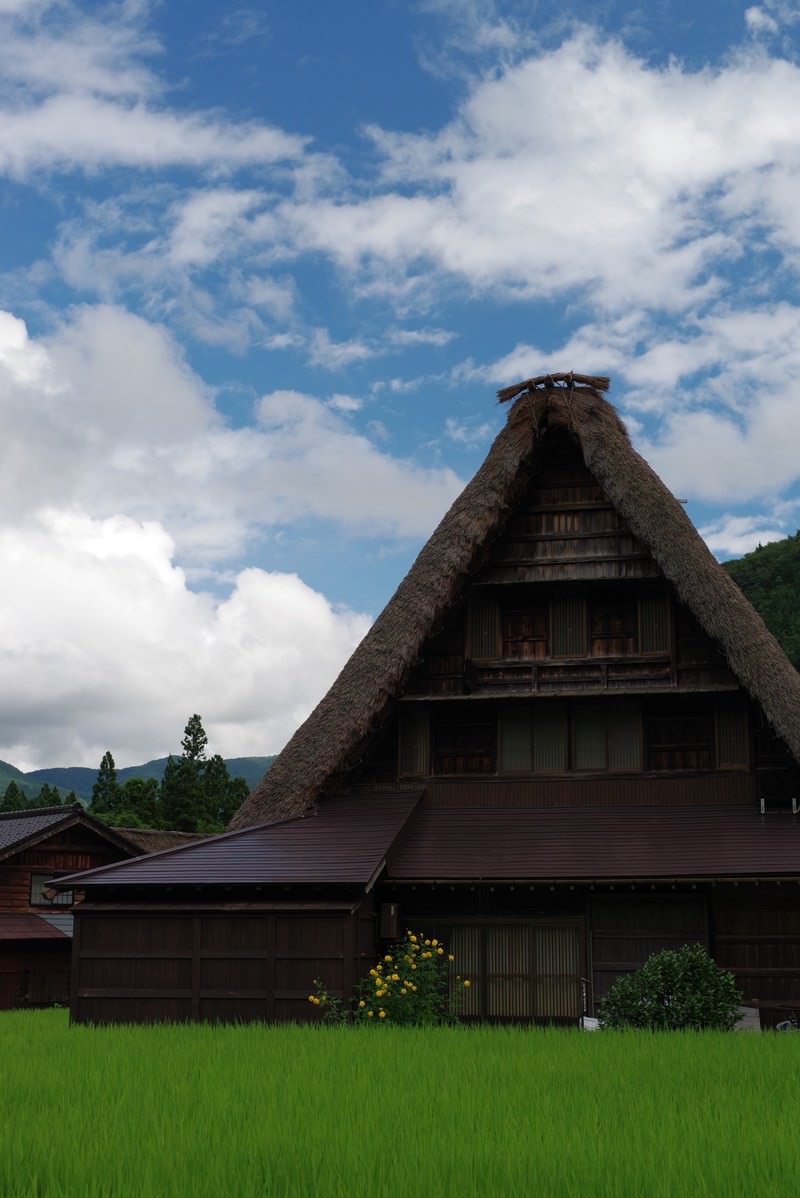 青空の下、緑の田畑の向こうに茅葺屋根の合掌造り家屋が見える