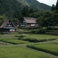 数面の田んぼを見下ろす相倉集落の合掌造りの写真