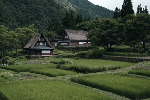 数面の田んぼを見下ろす相倉集落の合掌造り