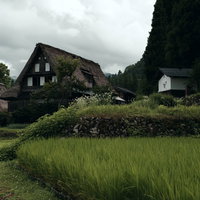緑の田んぼ脇の畔と茅葺屋根が点在する相倉集落の写真