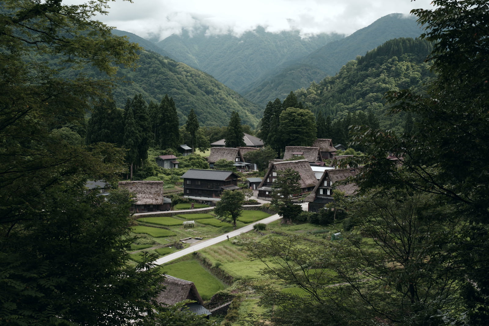 山間の谷間に佇む相倉合掌造り集落を展望台から撮影した風景