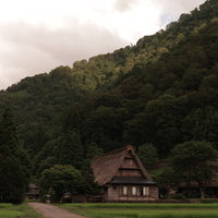 緑の田を抜けて相倉集落へ進む道の写真