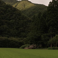 山間にひっそり佇む墓地と青々とした田んぼの写真