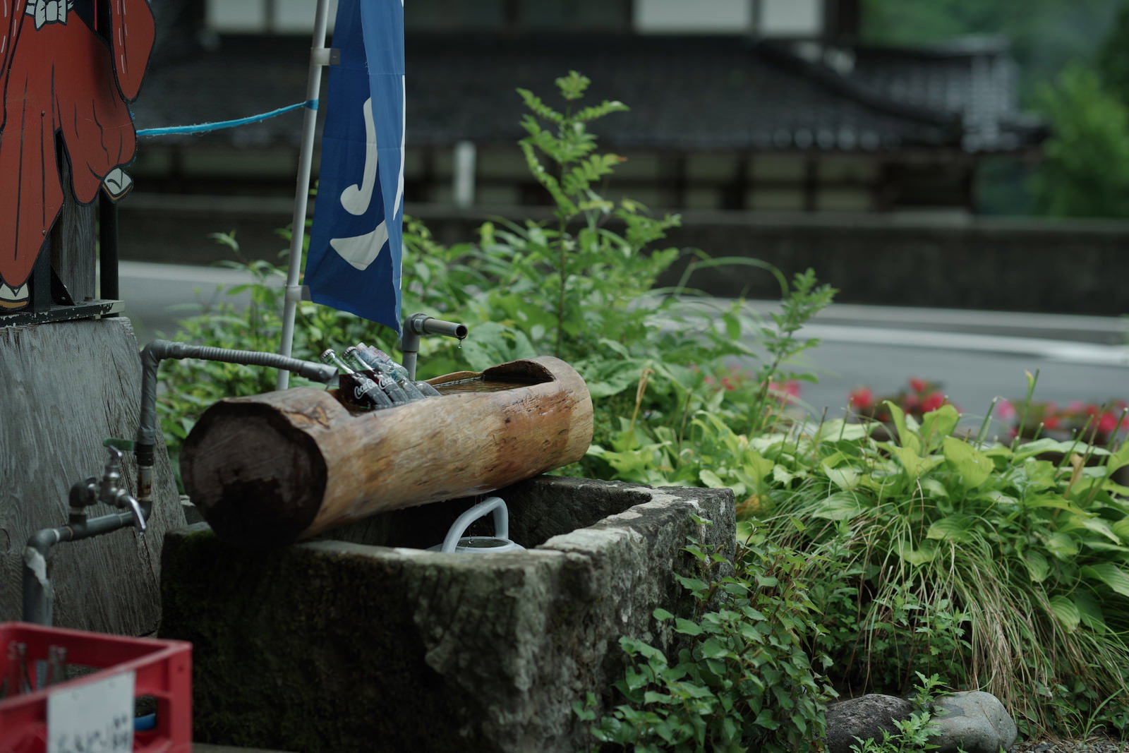 石造りの水飲み場に置かれた赤いコカコーラの瓶と緑の植物