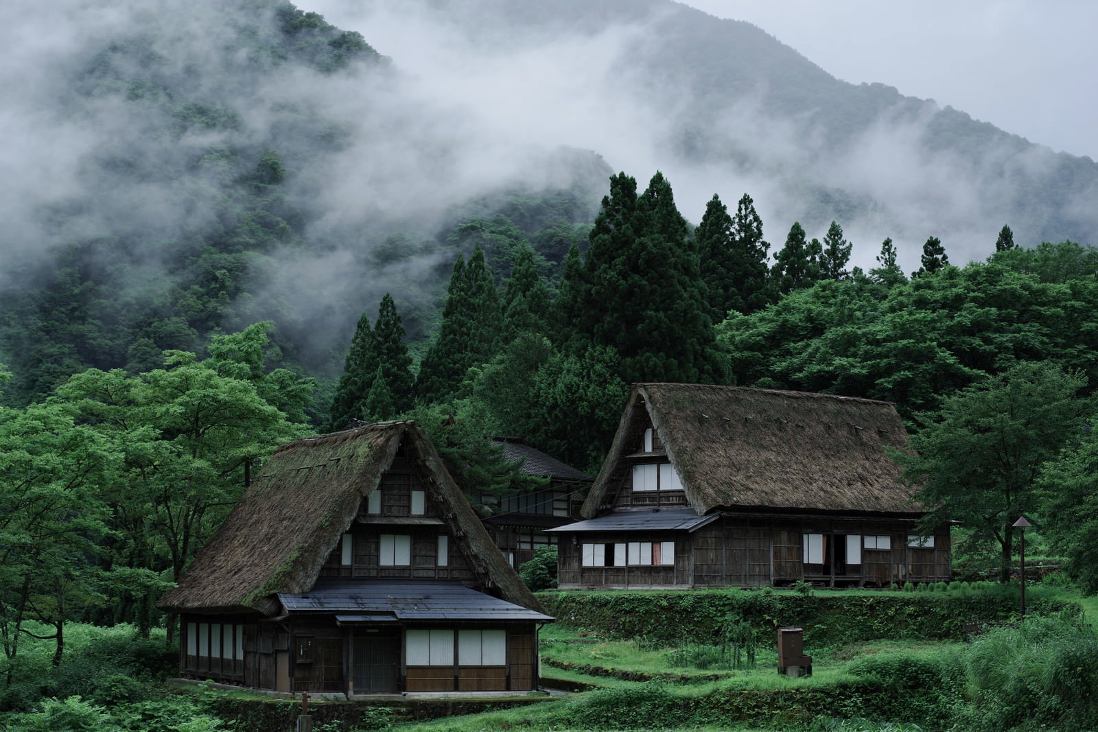 霧がかかる山を背景に並ぶ合掌造りの集落
