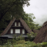 木々の間に見える茅葺屋根の合掌造り、五箇山相倉集落の写真