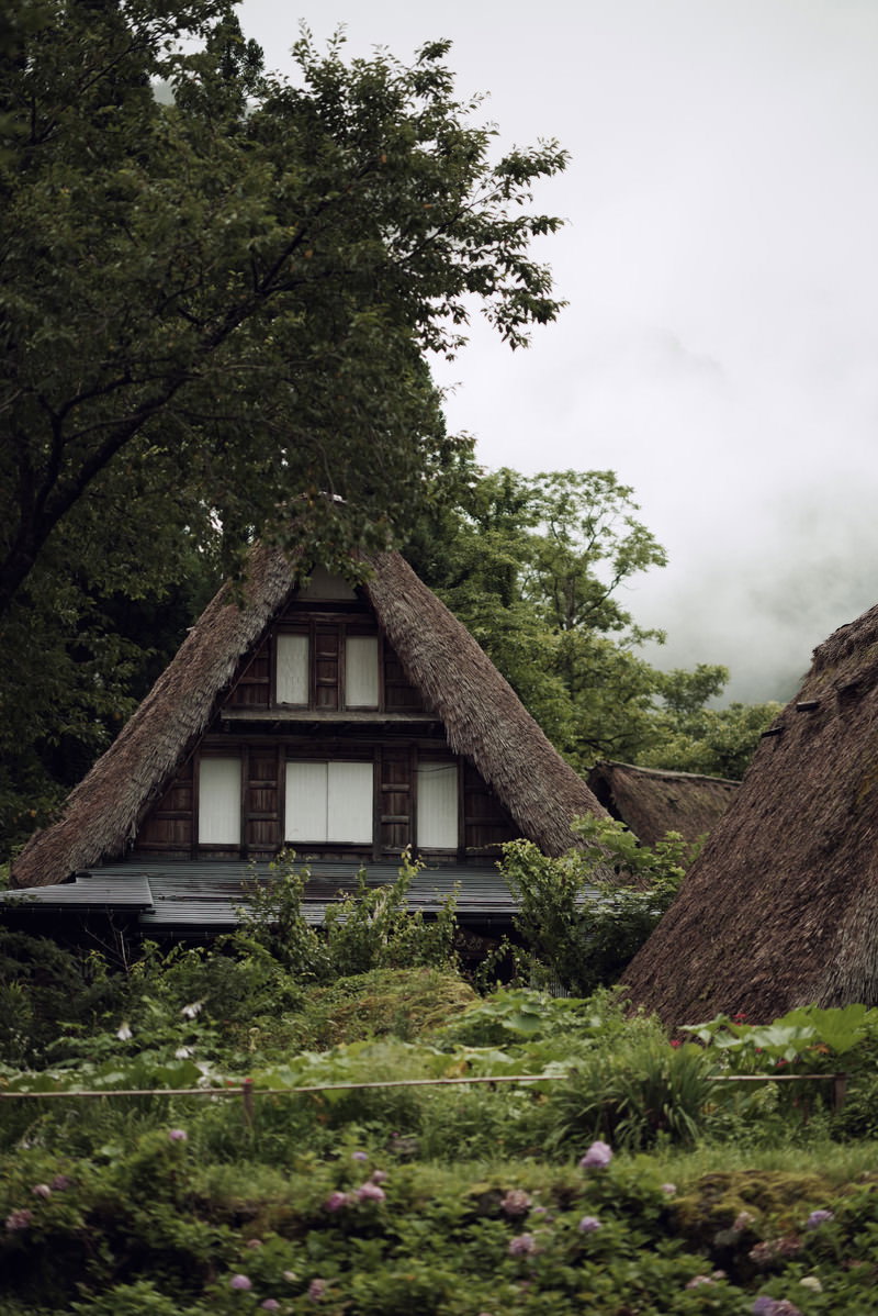 緑の木々に囲まれた茅葺屋根の合掌造り建物