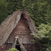 相倉集落の茅葺屋根の合掌造り家屋（五箇山の世界遺産集落）の写真