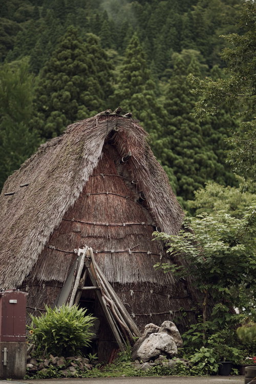 相倉集落の茅葺屋根の合掌造り家屋（五箇山の世界遺産集落）