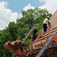 茅葺屋根の葺き替え作業を行う職人たちの風景の写真