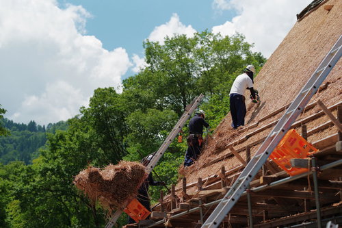 茅葺屋根の葺き替え作業を行う職人たちの風景