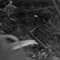 草陰から隠れ見た丸太橋の追手、侍の待ち伏せの写真