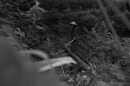 草陰から隠れ見た丸太橋の追手、侍の待ち伏せ