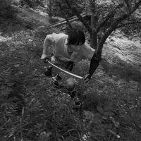 林道を逃げ場を求めて走る山賊、刀を握りしめて身を屈めるの写真