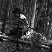 竹林の中で火縄銃を構える山賊の男性の写真