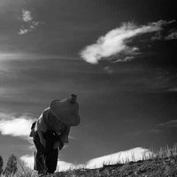 笠をかぶった袴姿で深々と頭を下げる侍のの写真
