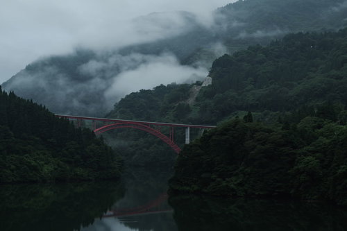 霧に包まれた庄川峡と利賀大橋の渓谷風景、一級河川の自然景観