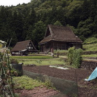 山間に開拓された田畑と茅葺屋根の相倉集落の写真