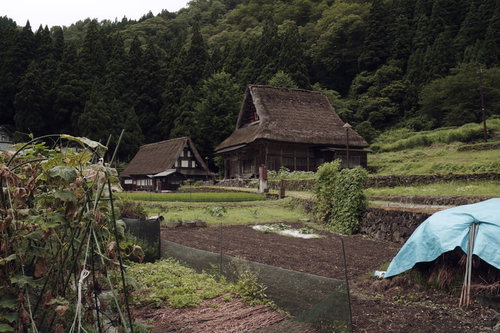 山間に開拓された田畑と茅葺屋根の相倉集落