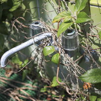 植物が生い茂る中の古い水道管と蛇口の廃墟風景の写真