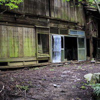 ホラーゲームの舞台になった廃村の苔むした廃屋の写真