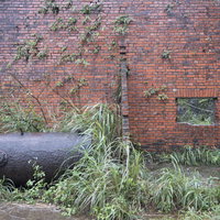 台湾の鉱山跡に絡まる蔦と朽ちた廃墟、老朽化した構造物の写真