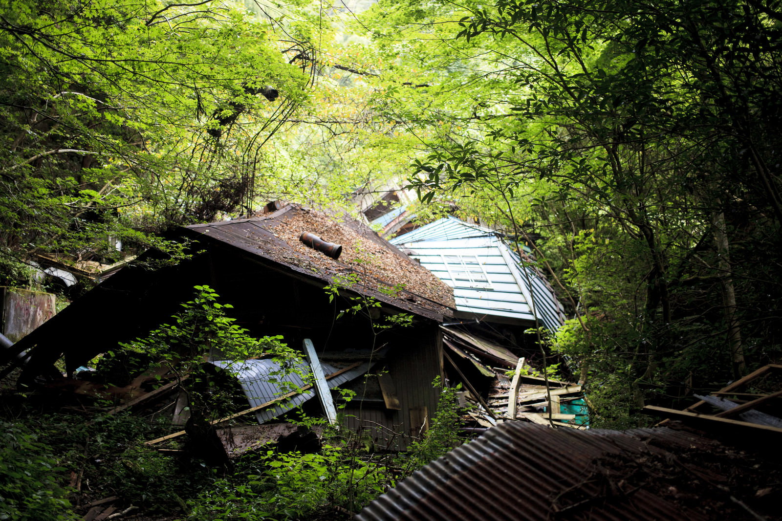 廃墟となった建物の崩落した外観