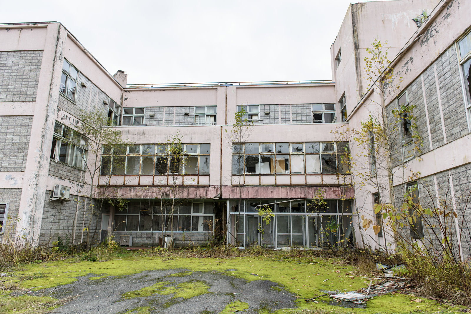 廃墟となった小学校の校舎と中庭