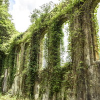 蔦に覆われた沈堕発電所の石造りアーチ構造の写真