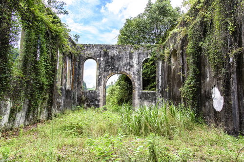 草木に覆われた沈堕発電所の廃墟