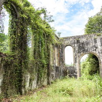 つたが絡む沈堕発電所跡の廃墟と自然の浸食の写真