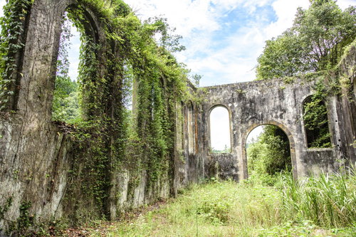 つたが絡む沈堕発電所跡の廃墟と自然の浸食