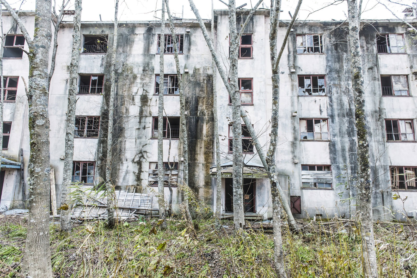 朽ちたコンクリート建物が並ぶ炭鉱住宅の廃墟