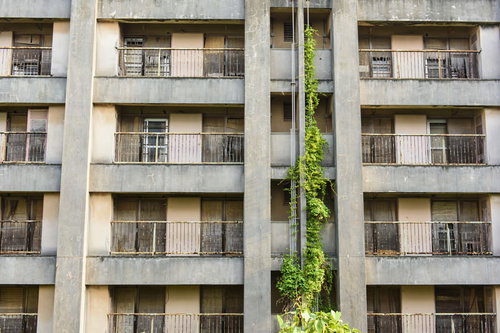 配管が蔦で覆われた老朽化した団地の廃墟と自然侵食