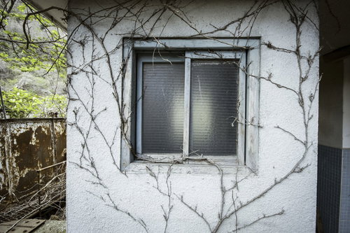 蔦と不気味な窓、ホラーっぽい建物