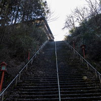 薄暗い森の中の苔むした古い石段と緑色の手すりの写真