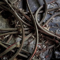 廃墟に放置されたベルト 古い革製品の劣化と朽ちの写真