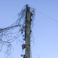 蔦が絡まった使われていない古い電柱と廃棄された電線の写真