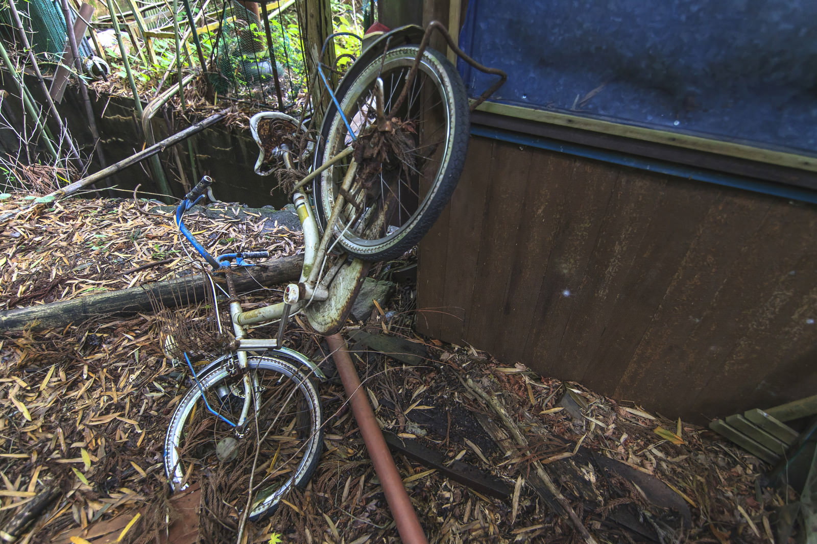 廃墟の中で錆びて朽ちた自転車が土と落ち葉に埋もれている