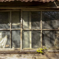 朽ちた木製の窓枠に残るひび割れガラスの廃屋の写真