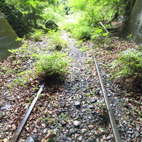 自然に覆われつつある廃線のレールとトンネルの写真