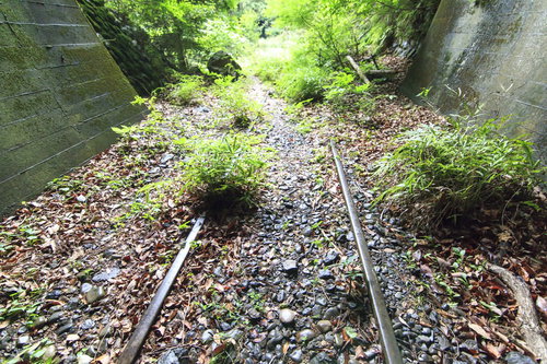 自然に覆われつつある廃線のレールとトンネル