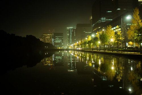 皇居の外濠に映り込むビル群の夜景と街路樹